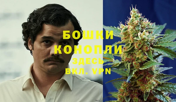 ПСИЛОЦИБИНОВЫЕ ГРИБЫ Михайловск