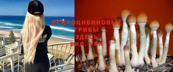 ПСИЛОЦИБИНОВЫЕ ГРИБЫ Михайловск