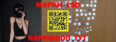 шишки Берёзовский