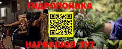 шишки Берёзовский
