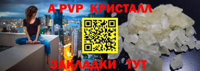 шишки Берёзовский