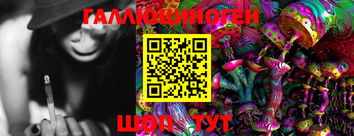 Всеволожск  Псилоцибиновые грибы GOLDEN TEACHER  Галлюциногенные грибы Psilocybe  Вход с VPN 